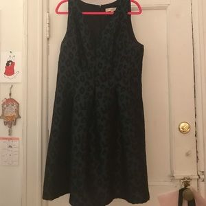 Ann Taylor Loft Dress
